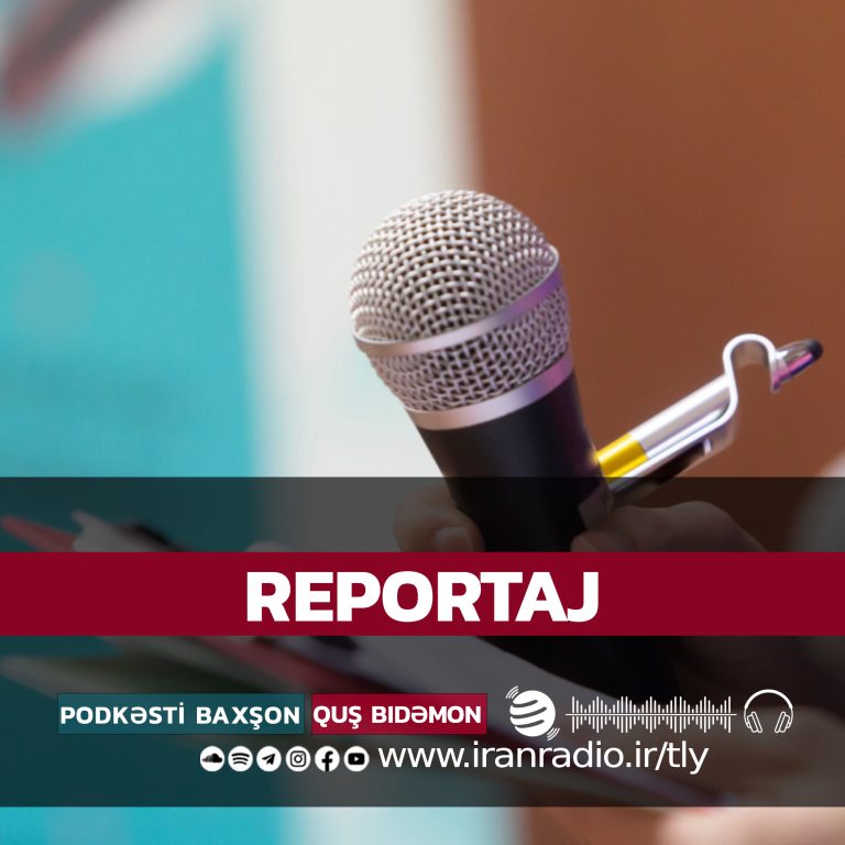 REPORTAJ